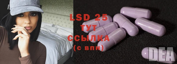 хмурый Арсеньев