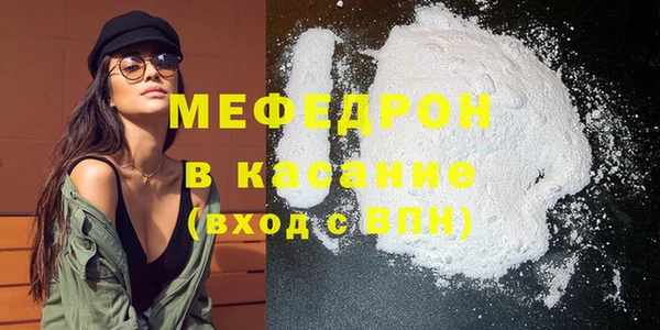 индика Горнозаводск
