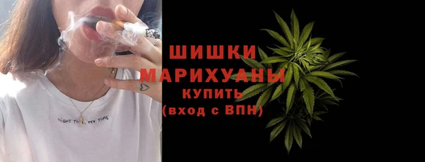 хмурый Арсеньев