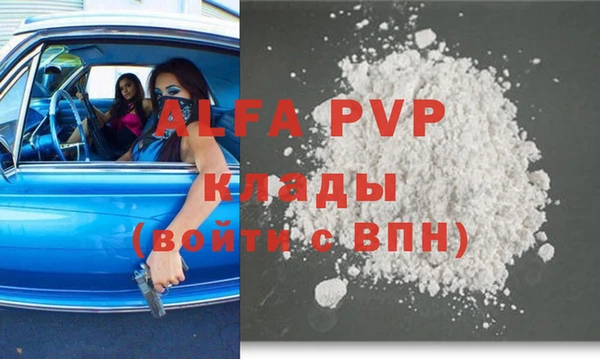 хмурый Арсеньев