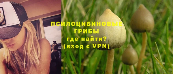 гашик Армянск