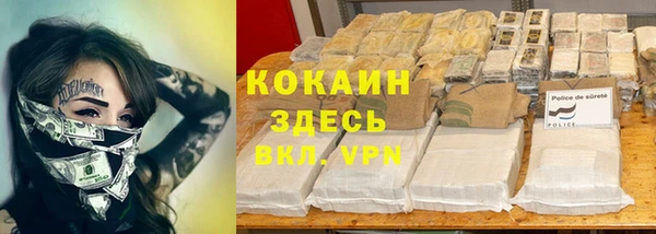 хмурый Арсеньев