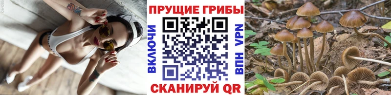 нарко площадка телеграм  Луза  Галлюциногенные грибы Psilocybine cubensis  где можно купить наркотик 